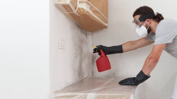 Professional Commercial Mold Remediation technician working in Bangor Base, WA