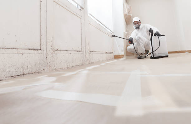 24/7 Emergency Commercial Mold Remediation experts in Bangor Base, WA