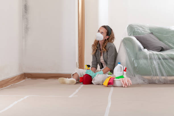 Reliable Commercial Mold Remediation contractor in Bangor Base, WA by 24 Hour Mold Removal