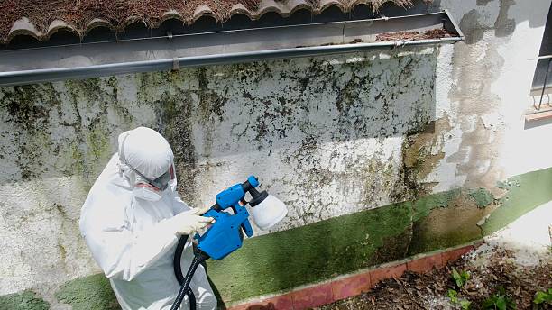 Top rated local Commercial Mold Remediation specialists in Bangor Base, WA